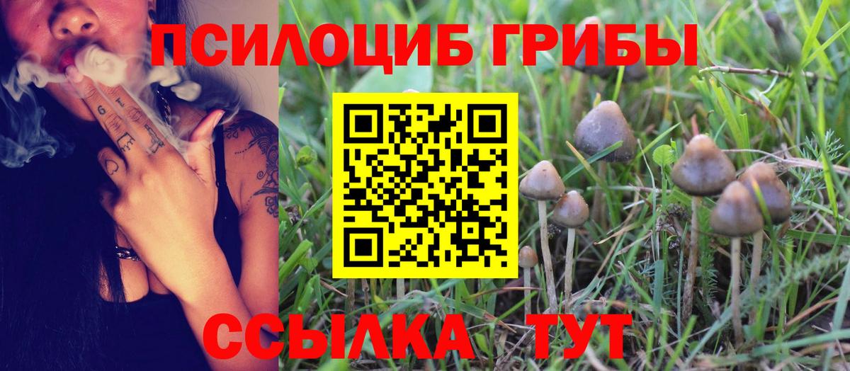 Псилоцибиновые грибы Magic Shrooms Ноябрьск